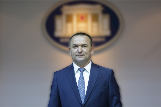 ILIR TOPI