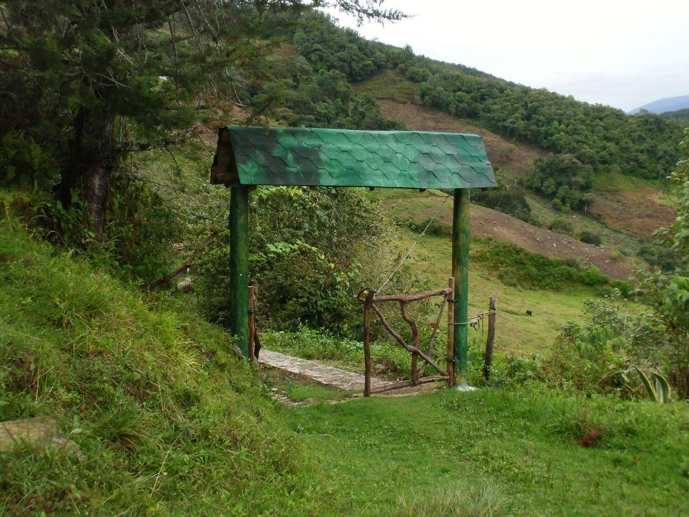 Editorial context image for The Tumeremo Massacre | Venezuela